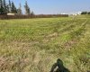 5401 53 Street, Grimshaw, Alberta T0H 1W0, ,Land,For Sale,53,A2077623