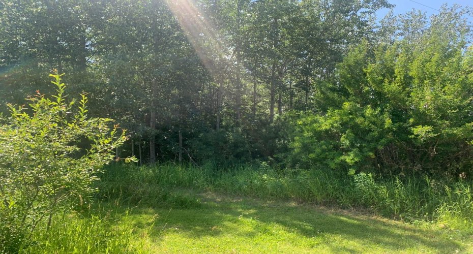 1009 11 Avenue Avenue, Hylo, Alberta T0A 1Z0, ,Land,For Sale,11 Avenue,A2080204