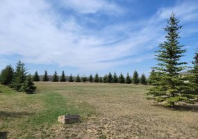 Lot 4 Tower Road, Athabasca, Alberta T9S 0B8, ,Land,For Sale,Tower,A2137324