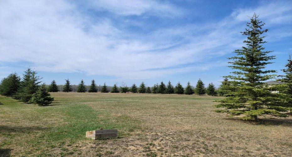 Lot 4 Tower Road, Athabasca, Alberta T9S 0B8, ,Land,For Sale,Tower,A2137324