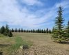 Lot 4 Tower Road, Athabasca, Alberta T9S 0B8, ,Land,For Sale,Tower,A2137324