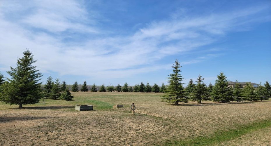 Lot 4 Tower Road, Athabasca, Alberta T9S 0B8, ,Land,For Sale,Tower,A2137324