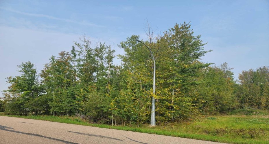 5404 Spruce Avenue, Wandering River, Alberta T0A 3M0, ,Land,For Sale,Spruce,A2077900