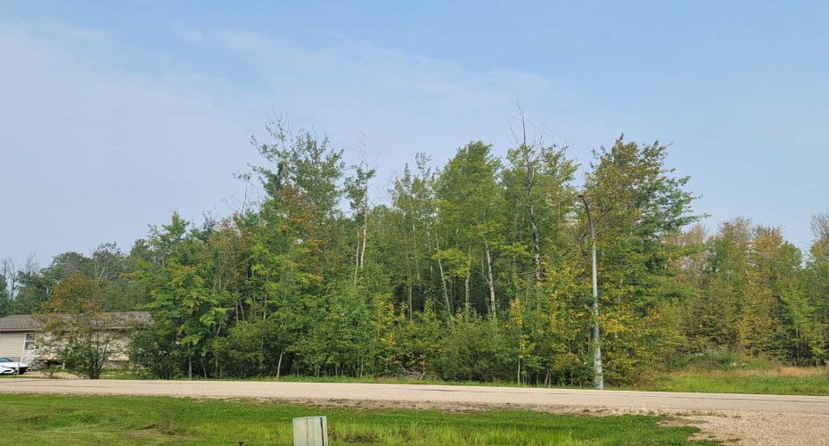 5404 Spruce Avenue, Wandering River, Alberta T0A 3M0, ,Land,For Sale,Spruce,A2077900