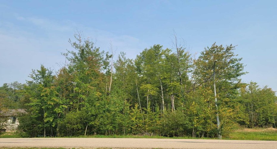 5404 Spruce Avenue, Wandering River, Alberta T0A 3M0, ,Land,For Sale,Spruce,A2077900