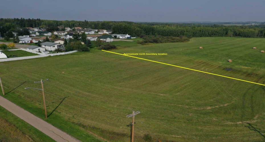 5002 50 St, Rural Brazeau County, Alberta T0E 1Z0, ,Land,For Sale,50 St,A2138513