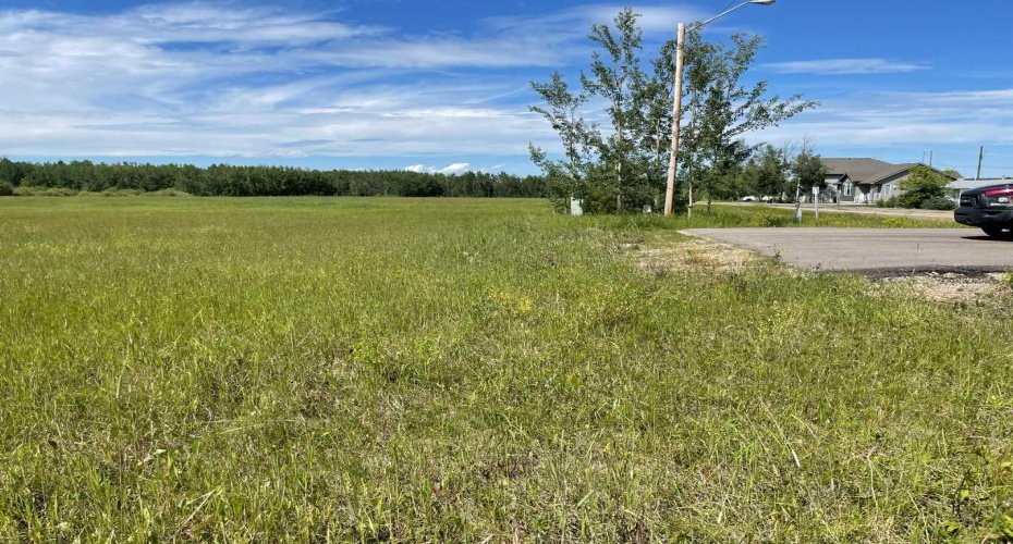 5002 50 St, Rural Brazeau County, Alberta T0E 1Z0, ,Land,For Sale,50 St,A2138513