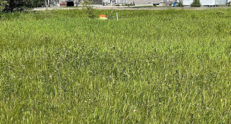 5002 50 St, Rural Brazeau County, Alberta T0E 1Z0, ,Land,For Sale,50 St,A2138513