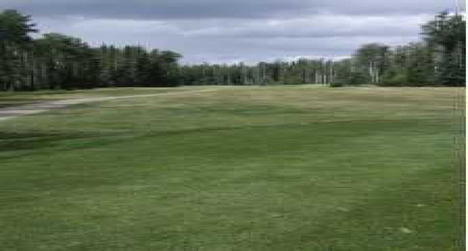 703064B Range Road 82, Wembley, Alberta T0H 3S0, ,Commercial,For Sale,Range Road 82,A2075881