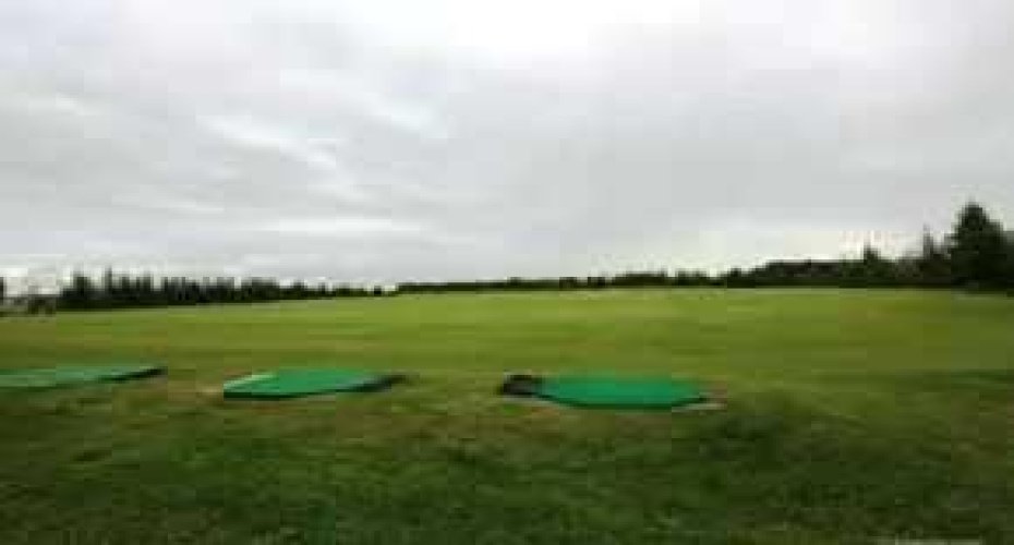 703064B Range Road 82, Wembley, Alberta T0H 3S0, ,Commercial,For Sale,Range Road 82,A2075881