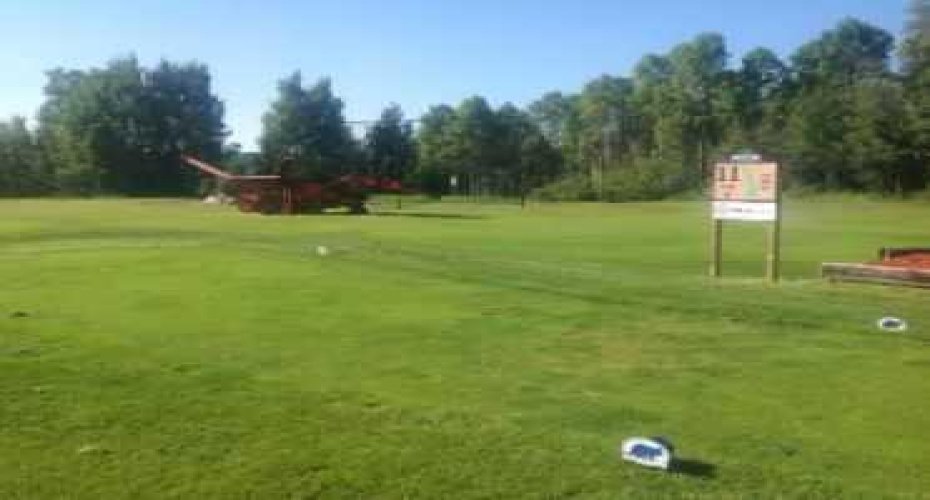 703064B Range Road 82, Wembley, Alberta T0H 3S0, ,Commercial,For Sale,Range Road 82,A2075881