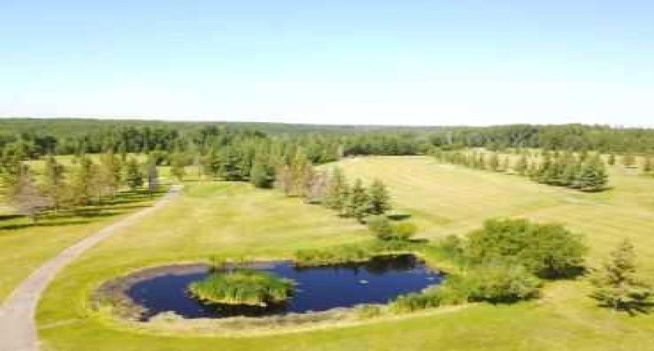 703064B Range Road 82, Wembley, Alberta T0H 3S0, ,Commercial,For Sale,Range Road 82,A2075881