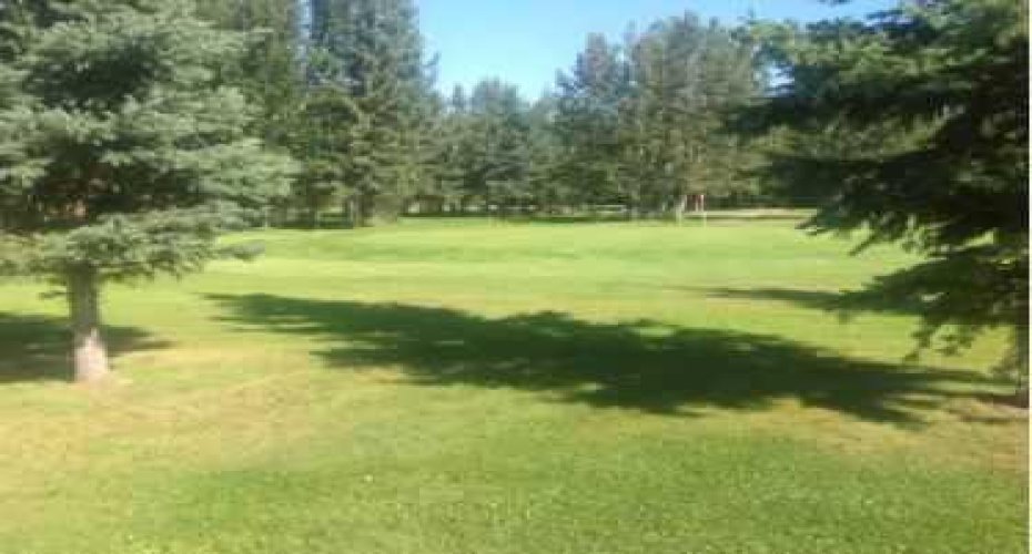 703064B Range Road 82, Wembley, Alberta T0H 3S0, ,Commercial,For Sale,Range Road 82,A2075881