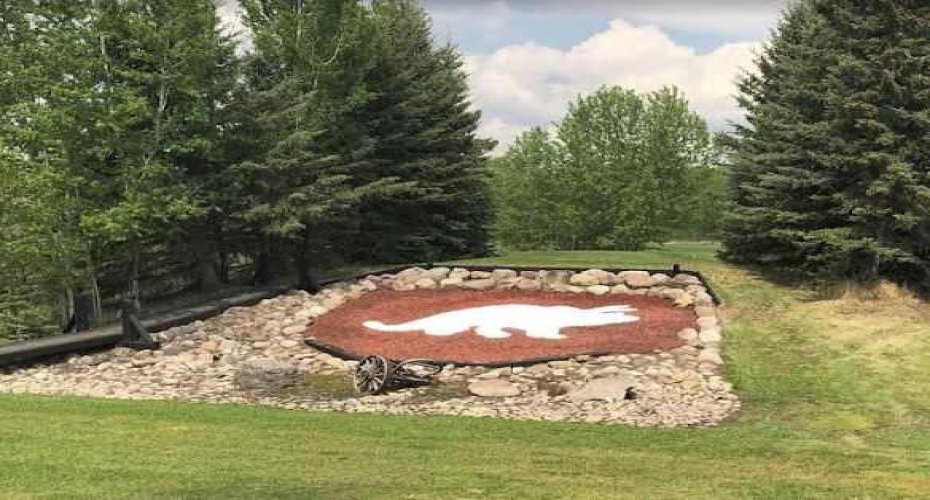 703064B Range Road 82, Wembley, Alberta T0H 3S0, ,Commercial,For Sale,Range Road 82,A2075881