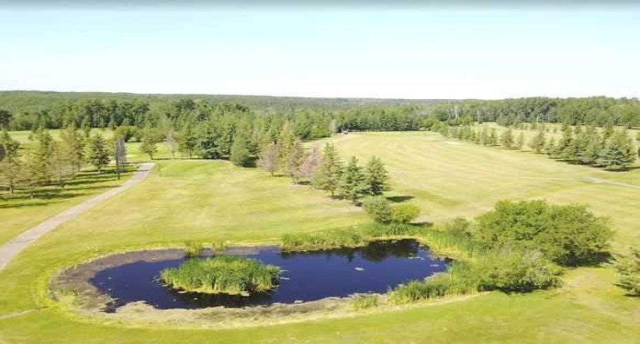 703064B Range Road 82, Wembley, Alberta T0H 3S0, ,Commercial,For Sale,Range Road 82,A2075881