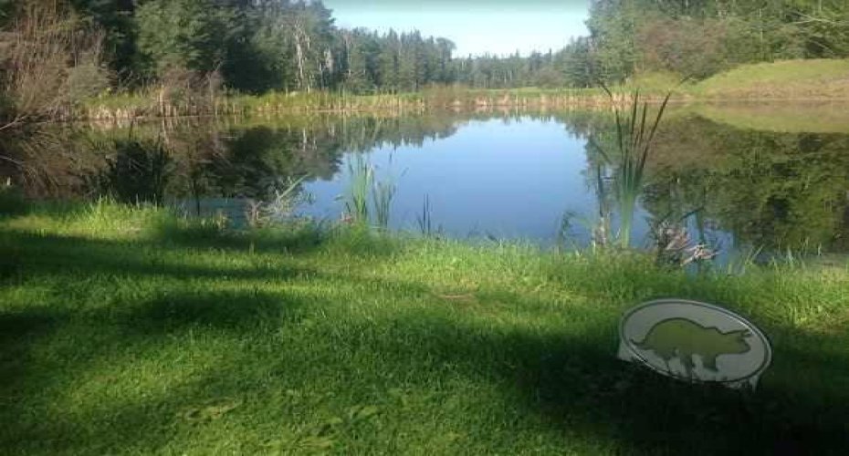 703064B Range Road 82, Wembley, Alberta T0H 3S0, ,Commercial,For Sale,Range Road 82,A2075881