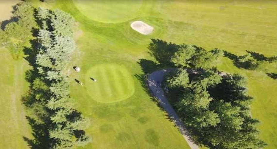 703064B Range Road 82, Wembley, Alberta T0H 3S0, ,Commercial,For Sale,Range Road 82,A2075881