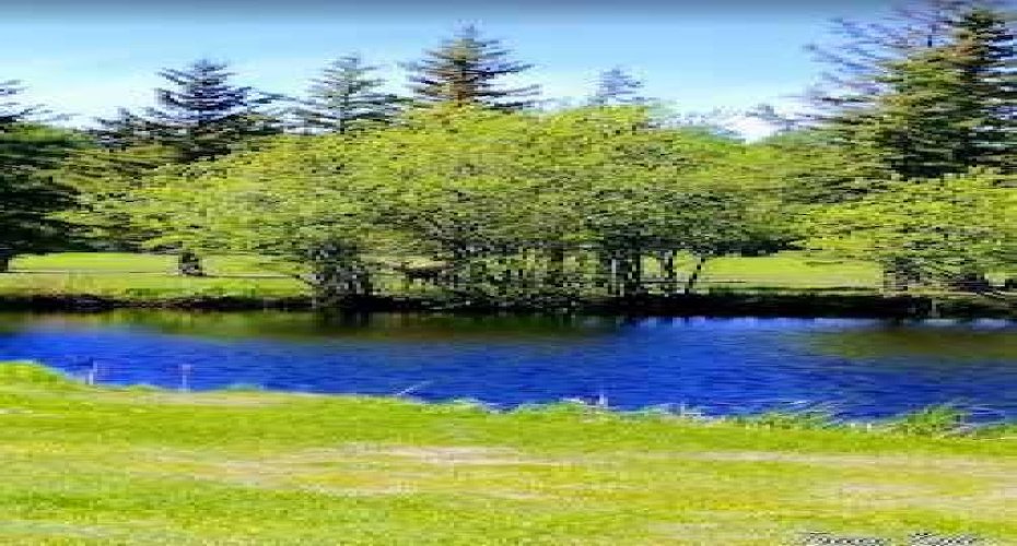 703064B Range Road 82, Wembley, Alberta T0H 3S0, ,Commercial,For Sale,Range Road 82,A2075881