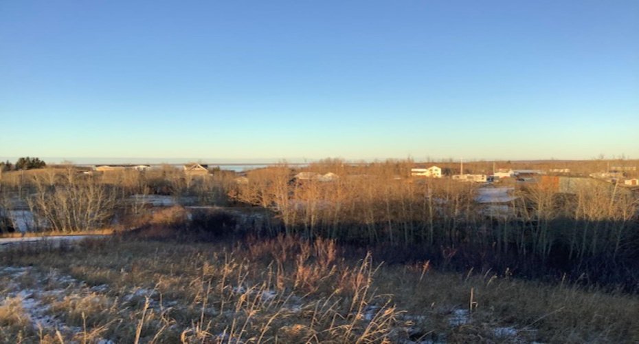 12 Earls Way, White Sands, Alberta T0C 2L0, ,Land,For Sale,Earls Way,A1162613