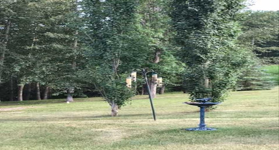 25204 Township Road 364 Township, Rural Red Deer County, Alberta T0M1R0, ,Commercial,For Sale,Township Road 364,A2139884