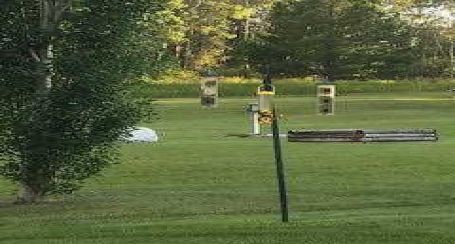 25204 Township Road 364 Township, Rural Red Deer County, Alberta T0M1R0, ,Commercial,For Sale,Township Road 364,A2139884