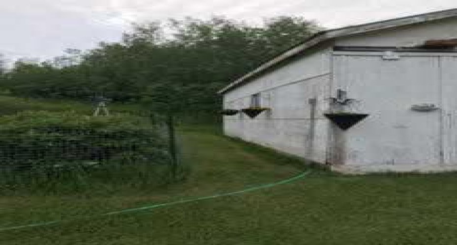 25204 Township Road 364 Township, Rural Red Deer County, Alberta T0M1R0, ,Commercial,For Sale,Township Road 364,A2139884