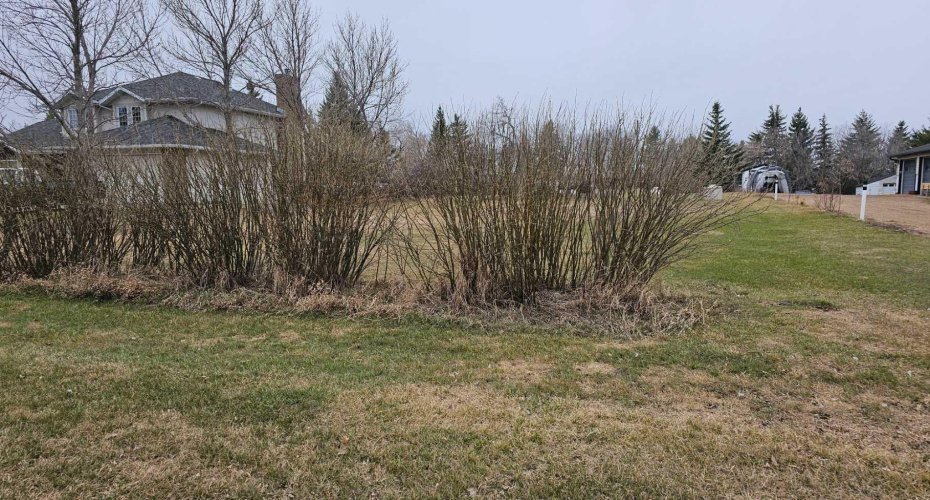 5406 50 Street, Castor, Alberta T0C0X0, ,Land,For Sale,50,A2124933