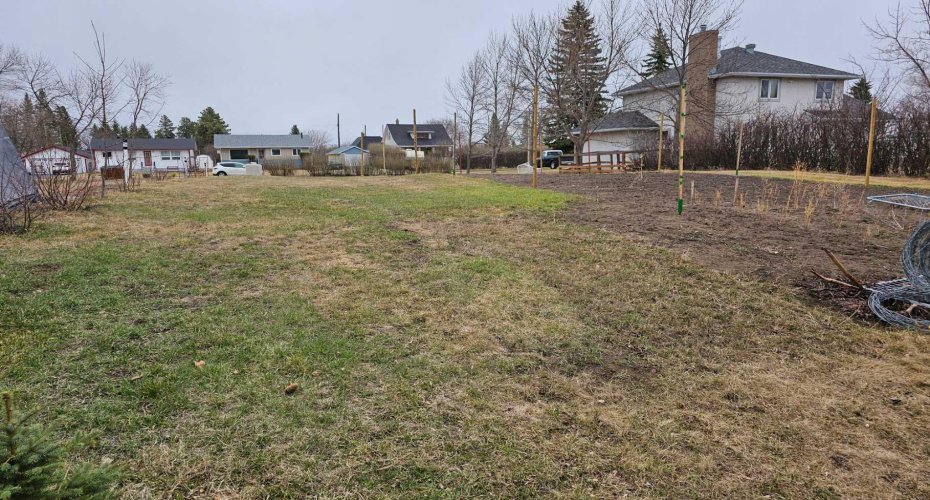 5406 50 Street, Castor, Alberta T0C0X0, ,Land,For Sale,50,A2124933