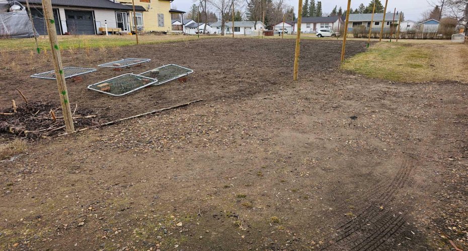 5406 50 Street, Castor, Alberta T0C0X0, ,Land,For Sale,50,A2124933