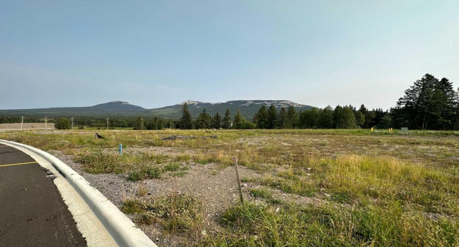 104 Centre Street, Nordegg, Alberta T0M 0H0, ,Land,For Sale,Centre,A2076065