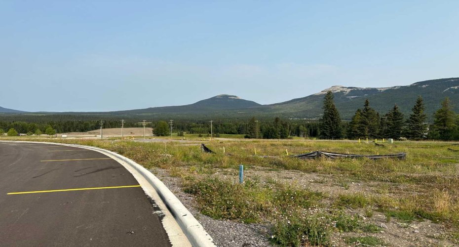 117 Centre Street, Nordegg, Alberta T0M 0H0, ,Land,For Sale,Centre,A2076070