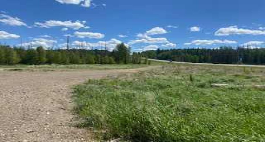 49 Ave Dahl Drive, Whitecourt, Alberta T7S 1N8, ,Land,For Sale,Ave Dahl Drive,A2141248