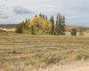9001 90 Street, Sexsmith, Alberta T0H 3C0, ,Land,For Sale,90,A1165121