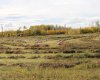 9001 90 Street, Sexsmith, Alberta T0H 3C0, ,Land,For Sale,90,A1165121