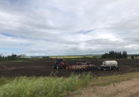 9001 90 Street, Sexsmith, Alberta T0H 3C0, ,Land,For Sale,90,A1165121