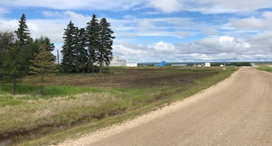 9001 90 Street, Sexsmith, Alberta T0H 3C0, ,Land,For Sale,90,A1165121
