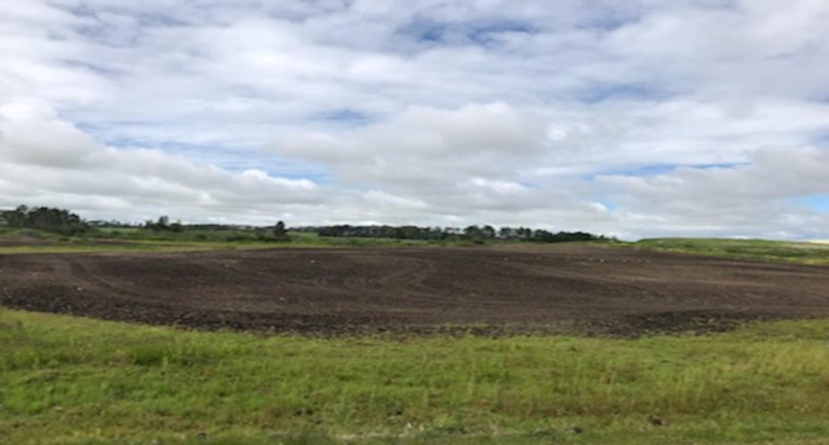 9001 90 Street, Sexsmith, Alberta T0H 3C0, ,Land,For Sale,90,A1165121