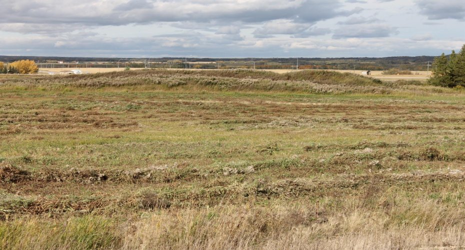 9001 90 Street, Sexsmith, Alberta T0H 3C0, ,Land,For Sale,90,A1165121