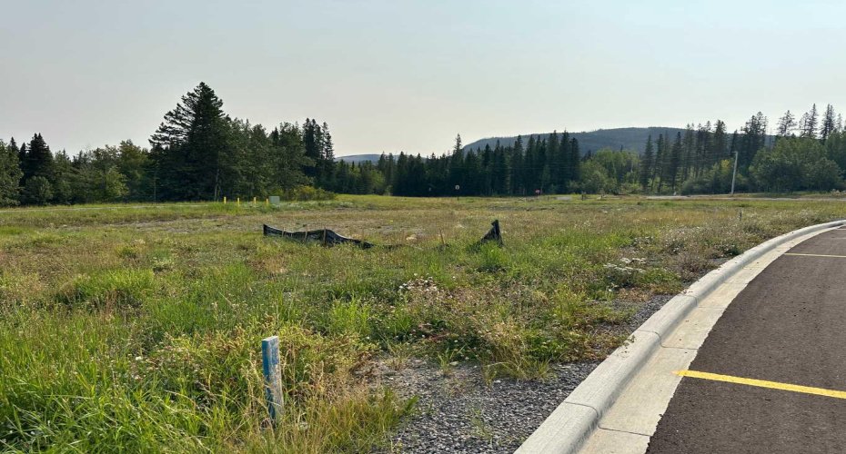 109 Centre Street, Nordegg, Alberta T0M 0H0, ,Land,For Sale,Centre,A2076081