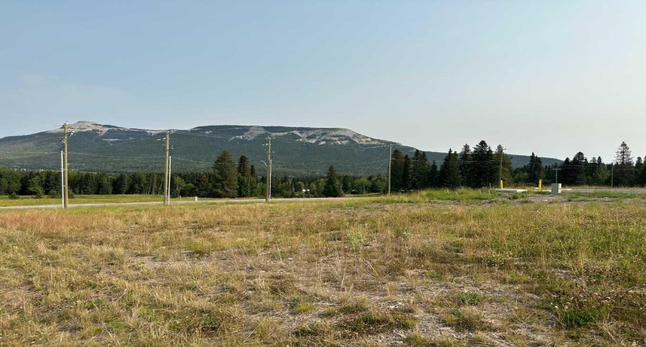 109 Centre Street, Nordegg, Alberta T0M 0H0, ,Land,For Sale,Centre,A2076081