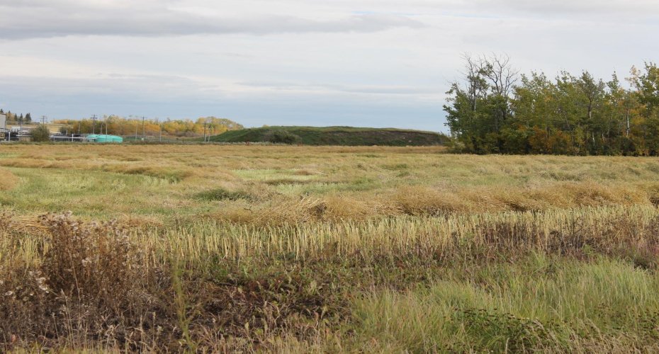 9300 101 Street, Sexsmith, Alberta T0H 3C0, ,Land,For Sale,101,A1165127