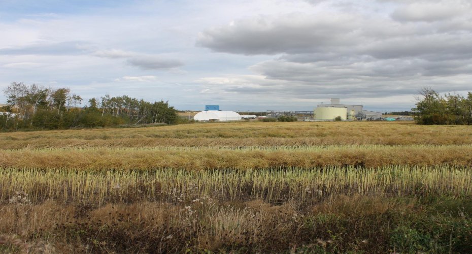 9300 101 Street, Sexsmith, Alberta T0H 3C0, ,Land,For Sale,101,A1165127