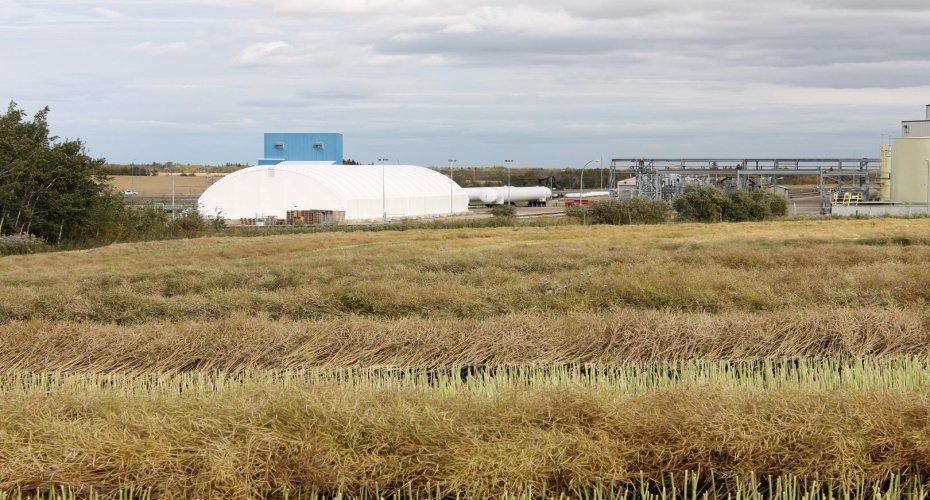 9300 101 Street, Sexsmith, Alberta T0H 3C0, ,Land,For Sale,101,A1165127