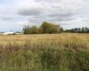 9300 101 Street, Sexsmith, Alberta T0H 3C0, ,Land,For Sale,101,A1165127
