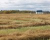 9300 101 Street, Sexsmith, Alberta T0H 3C0, ,Land,For Sale,101,A1165127