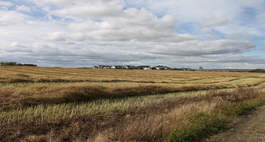 9300 101 Street, Sexsmith, Alberta T0H 3C0, ,Land,For Sale,101,A1165127