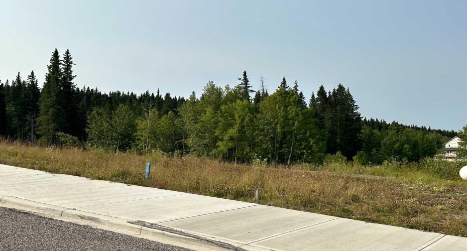 136 Centre Street, Nordegg, Alberta T0M 0H0, ,Land,For Sale,Centre,A2076091