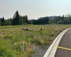 140 Centre Street, Nordegg, Alberta T0M 0H0, ,Land,For Sale,Centre,A2076093