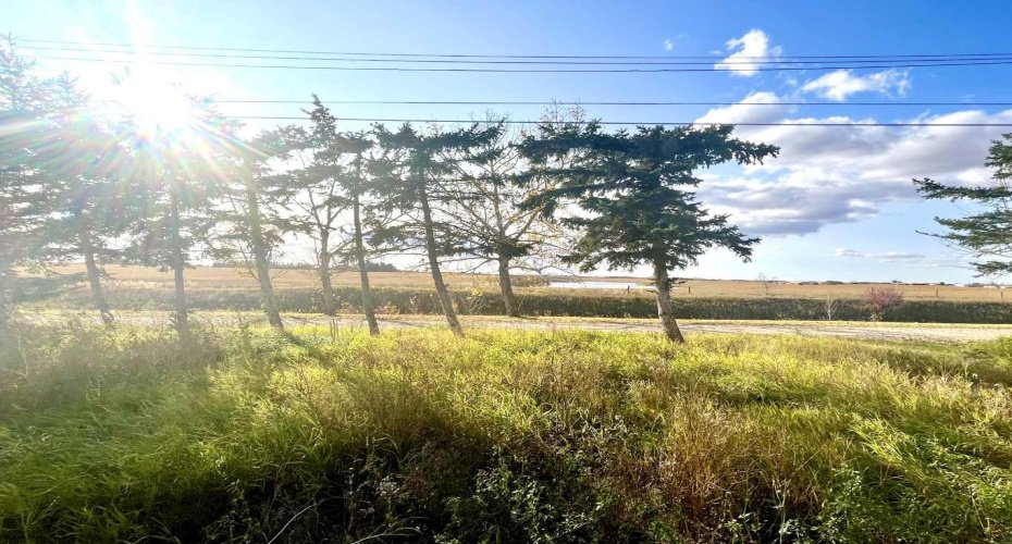 4834 59 Street, Killam, Alberta T0B 2L0, ,Land,For Sale,59,A2085093