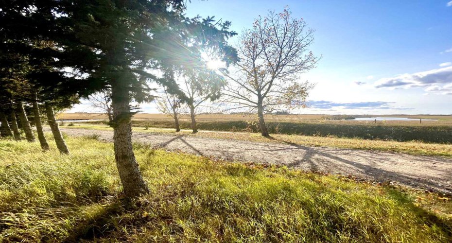 4834 59 Street, Killam, Alberta T0B 2L0, ,Land,For Sale,59,A2085093